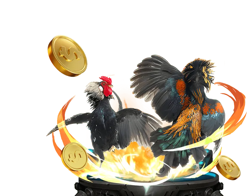 Đá Gà Thomo với luật chơi chi tiết