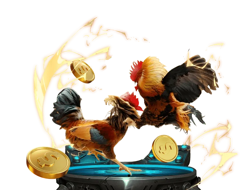 Người chơi đang phân tích các chiến kê để đưa ra quyết định cá cược